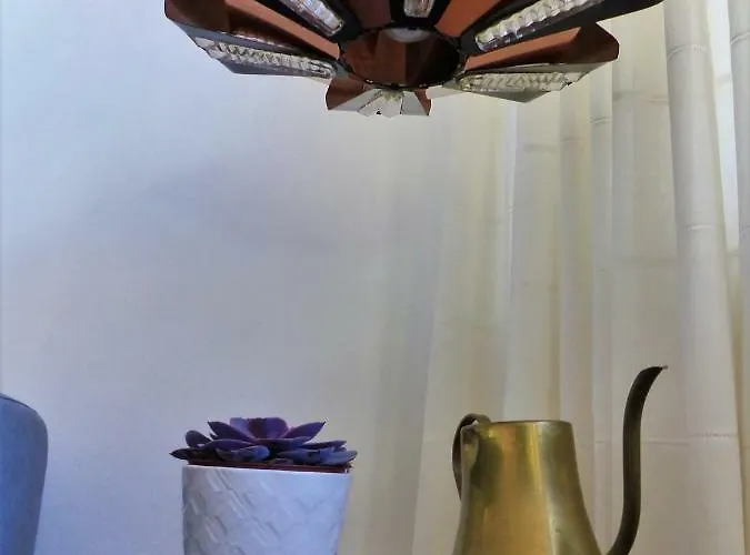 بيت ضيافة Ut Kantuurke Neer